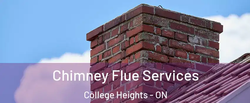  Chimney Flue Services College Heights - ON