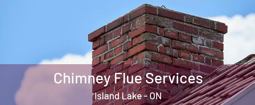  Chimney Flue Services Island Lake - ON