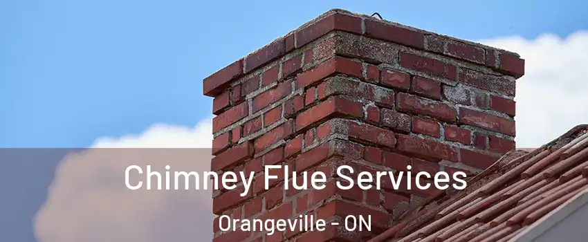  Chimney Flue Services Orangeville - ON