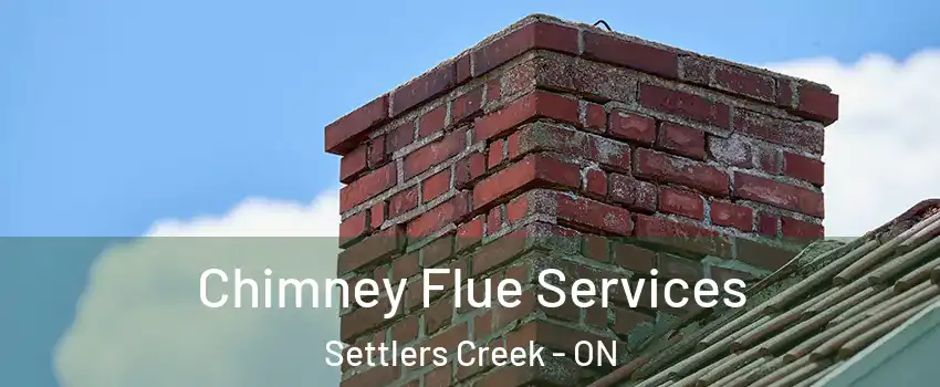  Chimney Flue Services Settlers Creek - ON