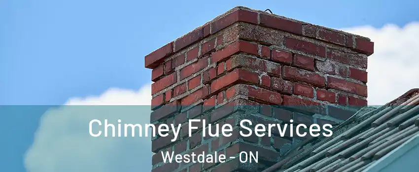  Chimney Flue Services Westdale - ON