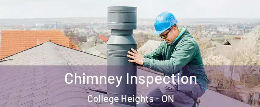  Chimney Inspection College Heights - ON