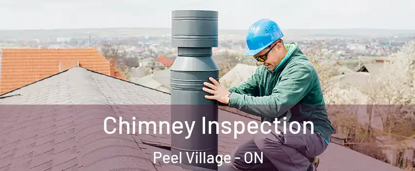  Chimney Inspection Peel Village - ON