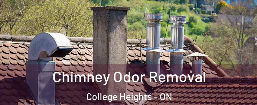  Chimney Odor Removal College Heights - ON