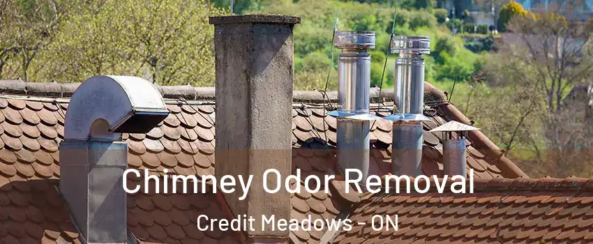  Chimney Odor Removal Credit Meadows - ON