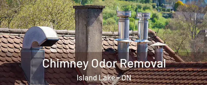  Chimney Odor Removal Island Lake - ON