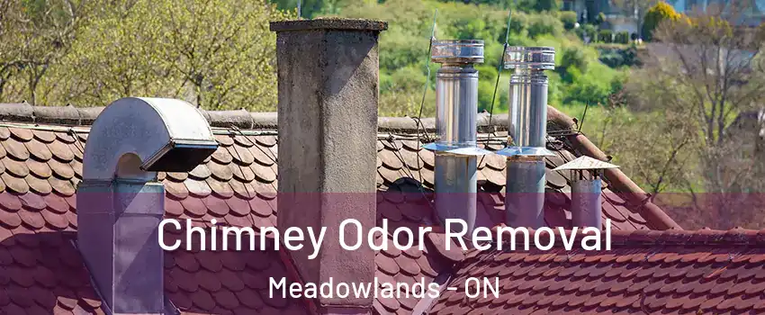  Chimney Odor Removal Meadowlands - ON