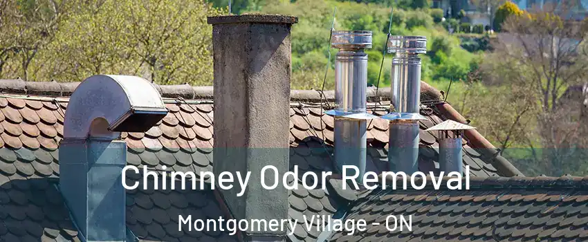  Chimney Odor Removal Montgomery Village - ON