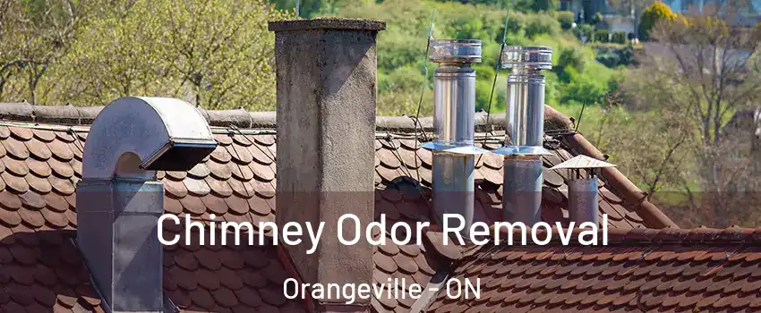  Chimney Odor Removal Orangeville - ON