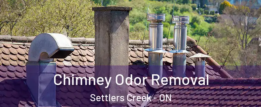  Chimney Odor Removal Settlers Creek - ON
