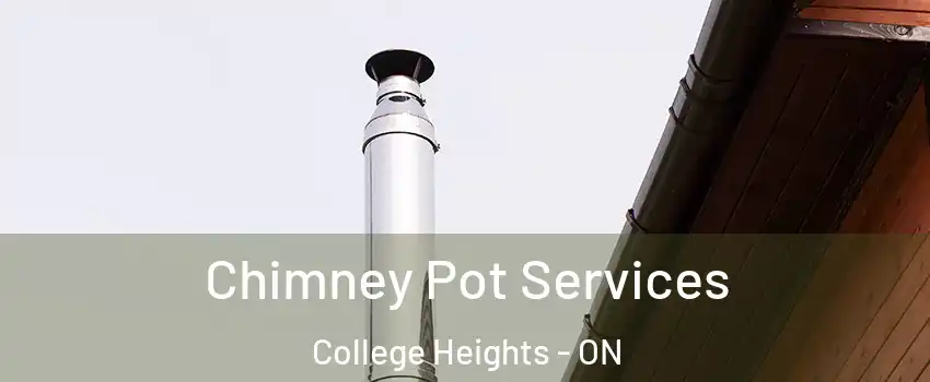  Chimney Pot Services College Heights - ON