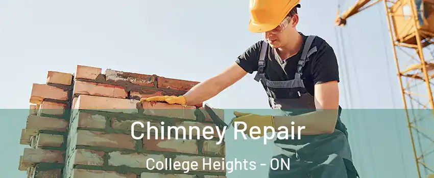  Chimney Repair College Heights - ON