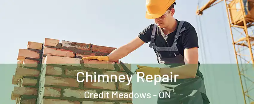  Chimney Repair Credit Meadows - ON