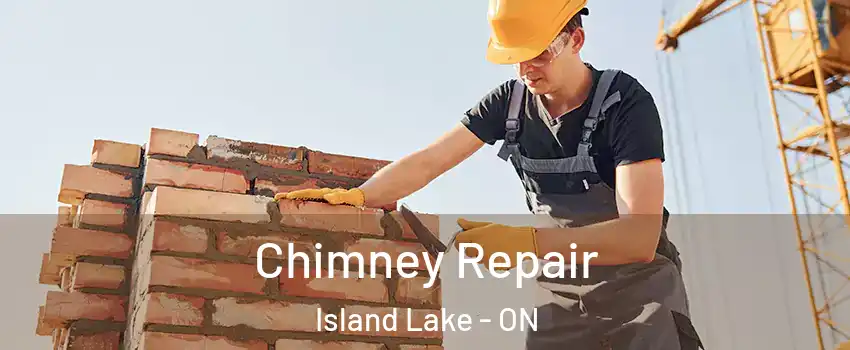  Chimney Repair Island Lake - ON