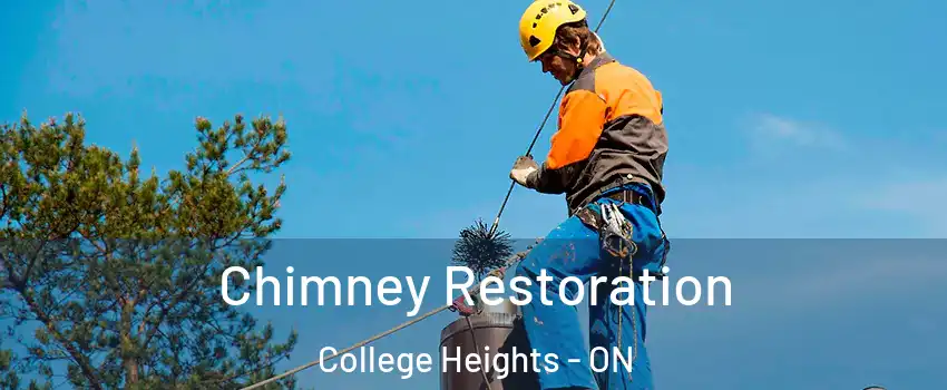  Chimney Restoration College Heights - ON