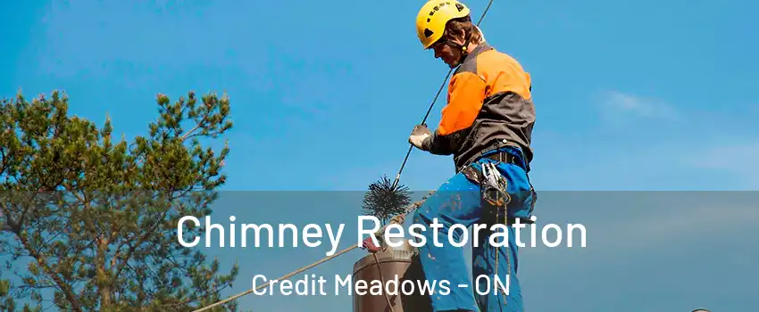  Chimney Restoration Credit Meadows - ON
