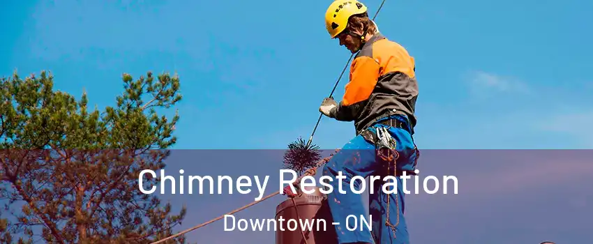  Chimney Restoration Downtown - ON