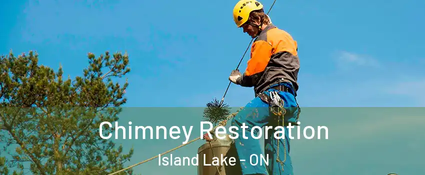  Chimney Restoration Island Lake - ON