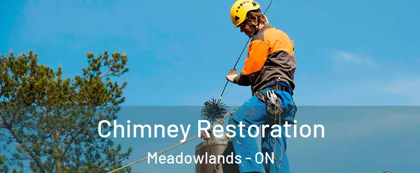  Chimney Restoration Meadowlands - ON
