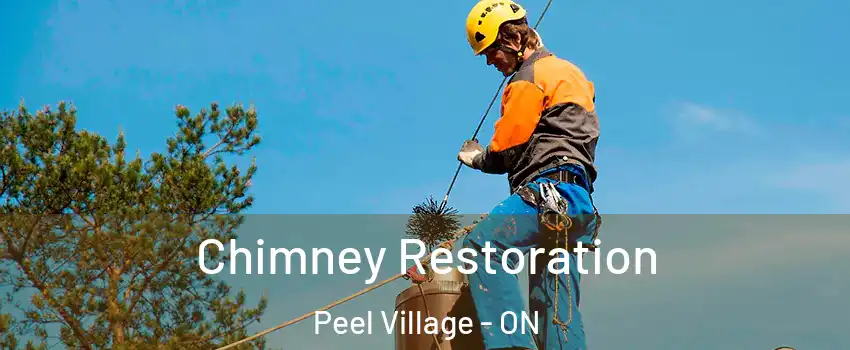  Chimney Restoration Peel Village - ON