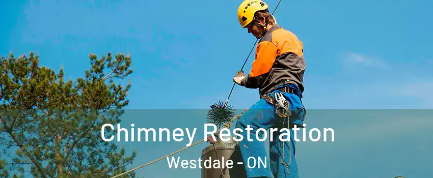  Chimney Restoration Westdale - ON