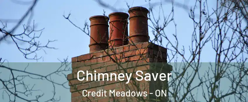  Chimney Saver Credit Meadows - ON