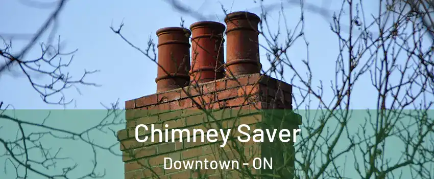  Chimney Saver Downtown - ON