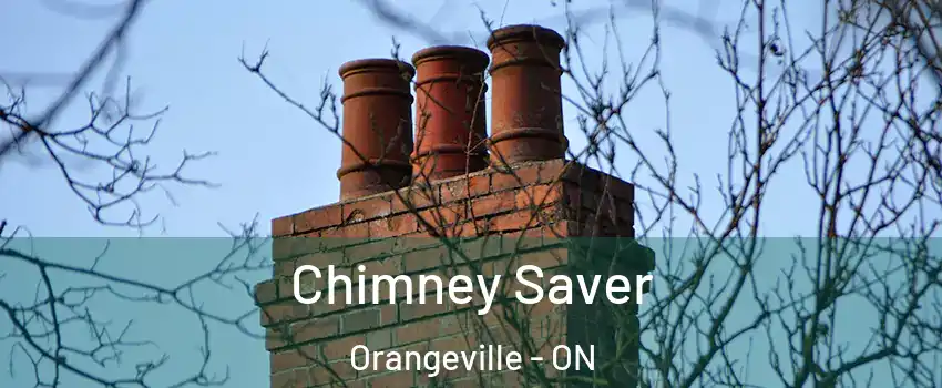  Chimney Saver Orangeville - ON