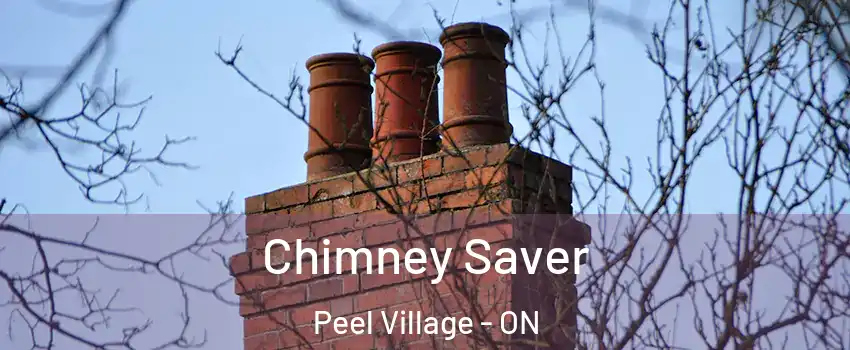  Chimney Saver Peel Village - ON