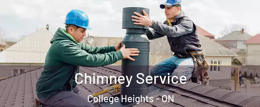  Chimney Service College Heights - ON
