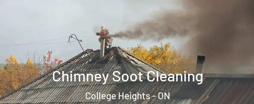  Chimney Soot Cleaning College Heights - ON