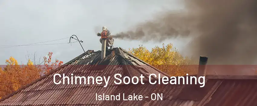  Chimney Soot Cleaning Island Lake - ON