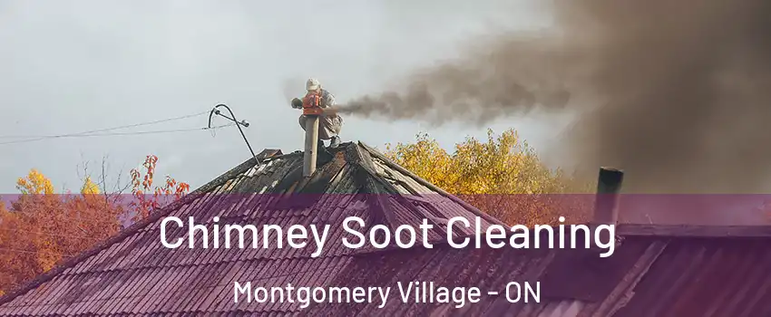  Chimney Soot Cleaning Montgomery Village - ON
