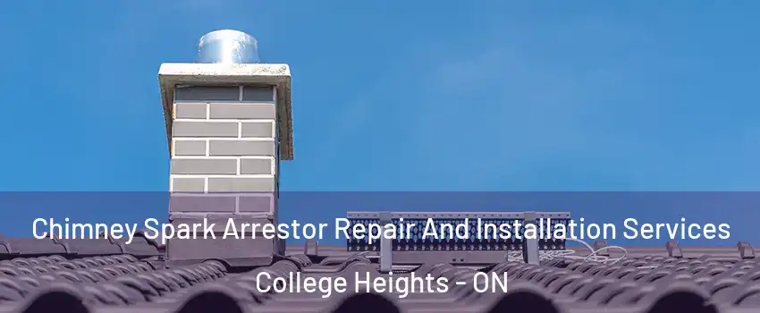  Chimney Spark Arrestor Repair And Installation Services College Heights - ON
