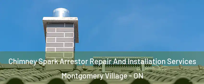  Chimney Spark Arrestor Repair And Installation Services Montgomery Village - ON