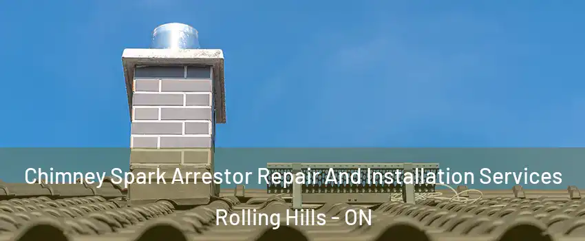  Chimney Spark Arrestor Repair And Installation Services Rolling Hills - ON
