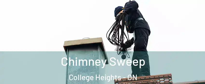  Chimney Sweep College Heights - ON
