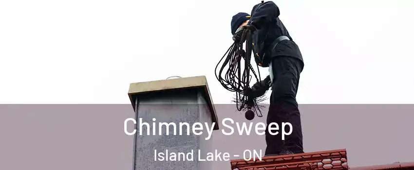  Chimney Sweep Island Lake - ON