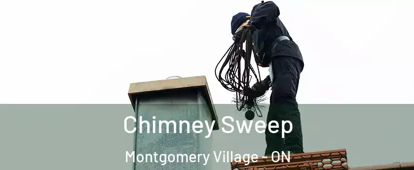  Chimney Sweep Montgomery Village - ON