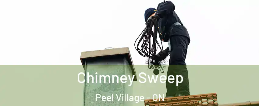  Chimney Sweep Peel Village - ON