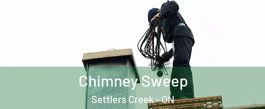  Chimney Sweep Settlers Creek - ON