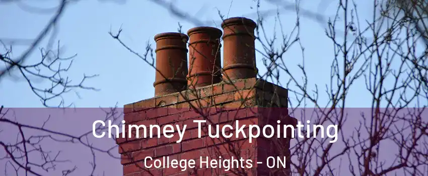  Chimney Tuckpointing College Heights - ON