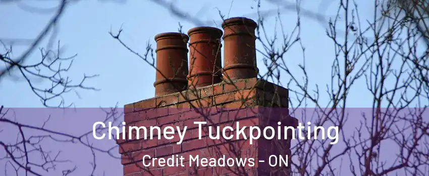  Chimney Tuckpointing Credit Meadows - ON