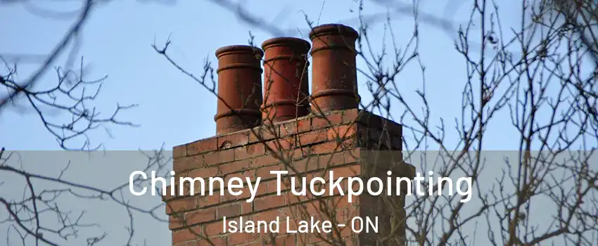  Chimney Tuckpointing Island Lake - ON
