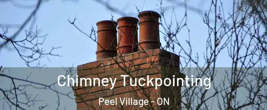  Chimney Tuckpointing Peel Village - ON