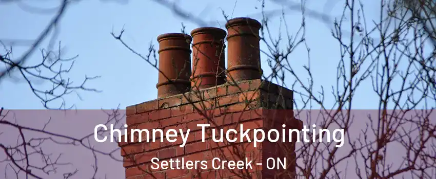  Chimney Tuckpointing Settlers Creek - ON