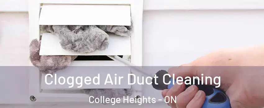  Clogged Air Duct Cleaning College Heights - ON
