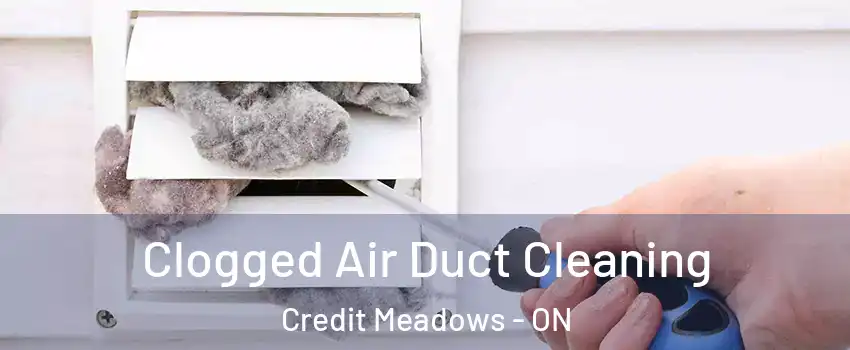  Clogged Air Duct Cleaning Credit Meadows - ON