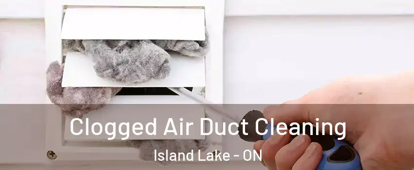  Clogged Air Duct Cleaning Island Lake - ON