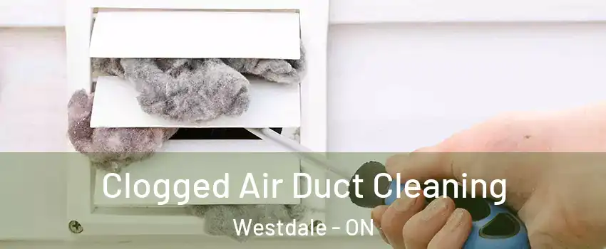  Clogged Air Duct Cleaning Westdale - ON